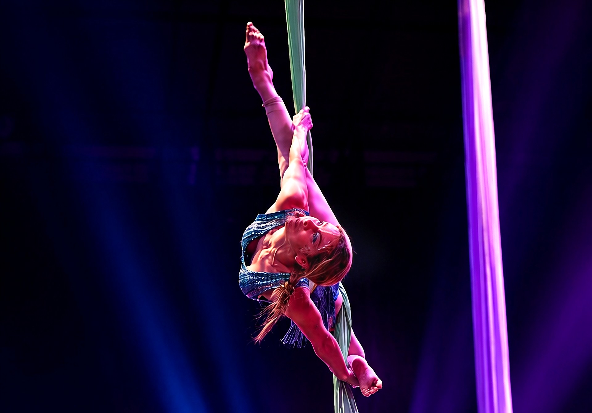 Aerial Dreams — Vanessa Guzmán, aerial silks